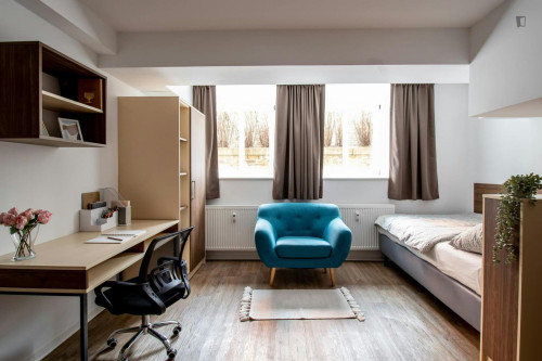 Pleasant studio in the Altstadt district - Gallery - 32