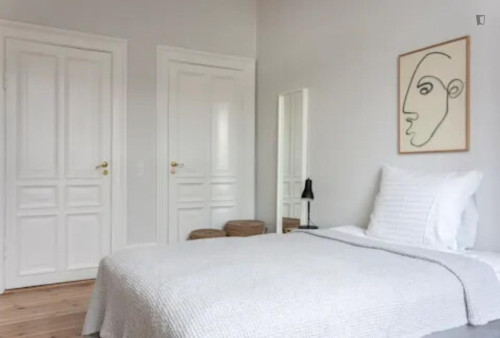 Interesting double bedroom near the Vesterport train station
