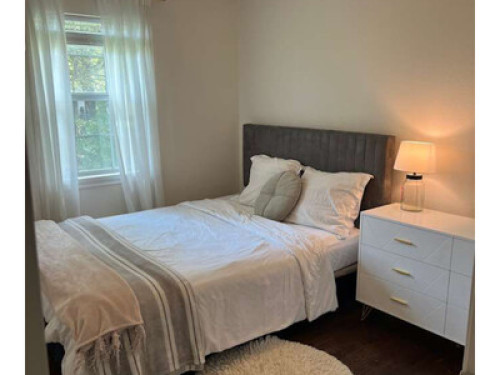 Clean and safe Room in Texas - Gallery - 7