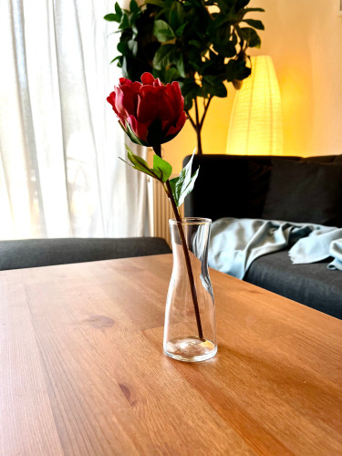 Stylish & Cosy Apartment direct in the city - complete fitted