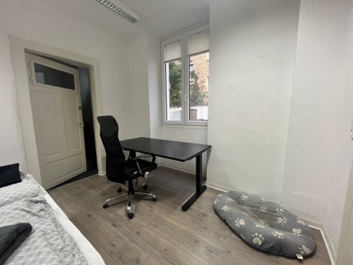 Simplex Apartments: charming apartment, Karlsruhe near "Ettlinger Tor" - Gallery - 11