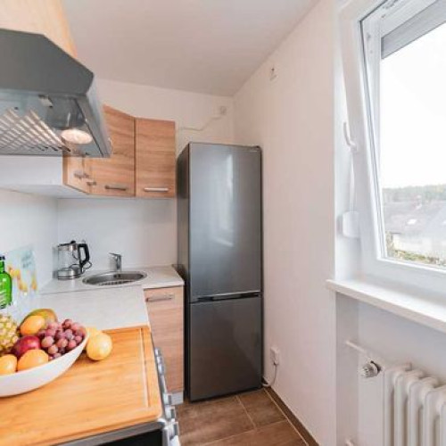 Modern, newly renovated 1 room apartment on the edge of the forest with parking space and WiFi