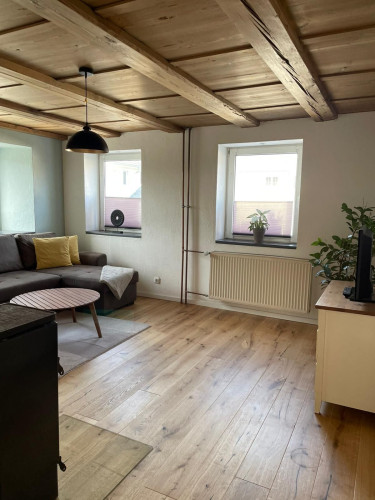 Perfect studio in Singen (Hohentwiel)  - Gallery -  5