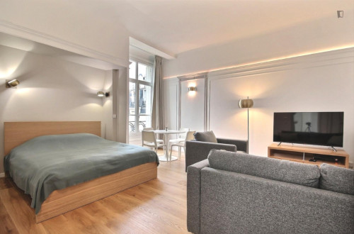 Very neat studio in the 8th arrondissement