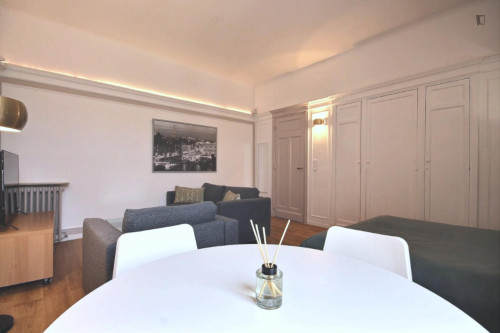 Very neat studio in the 8th arrondissement