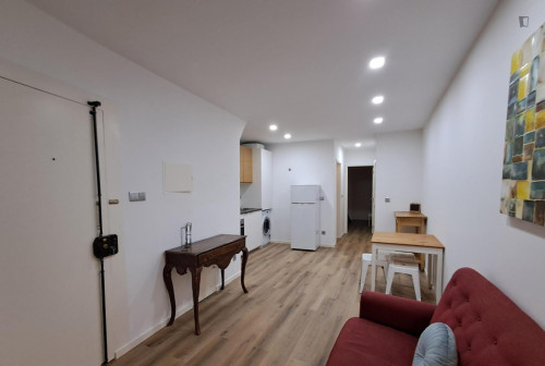 Comfy 1-bedroom flat near Museu da Farmácia