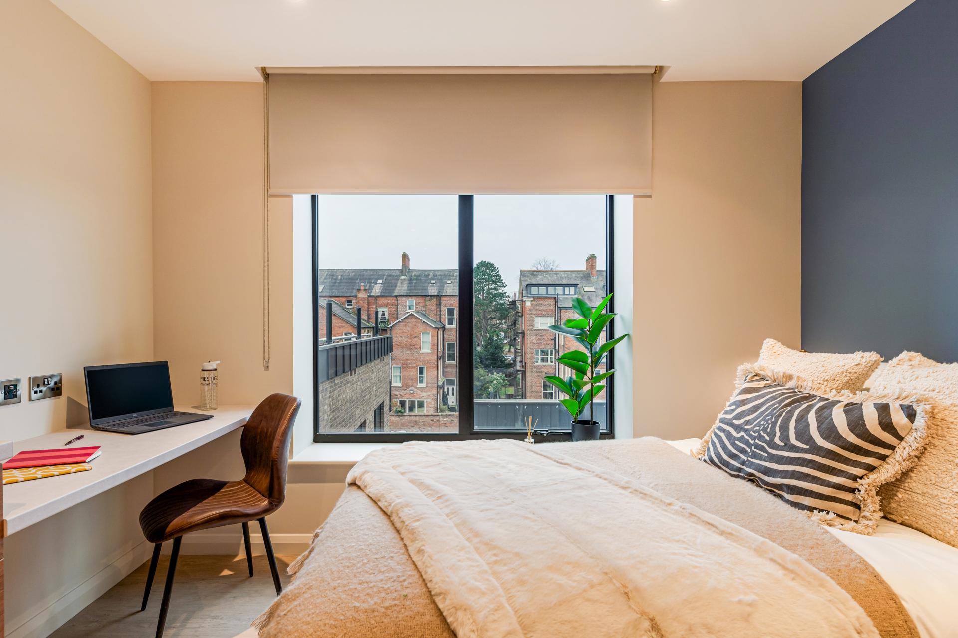  Classic Plus Studio  -  Ryan Hall  - Gallery -  10