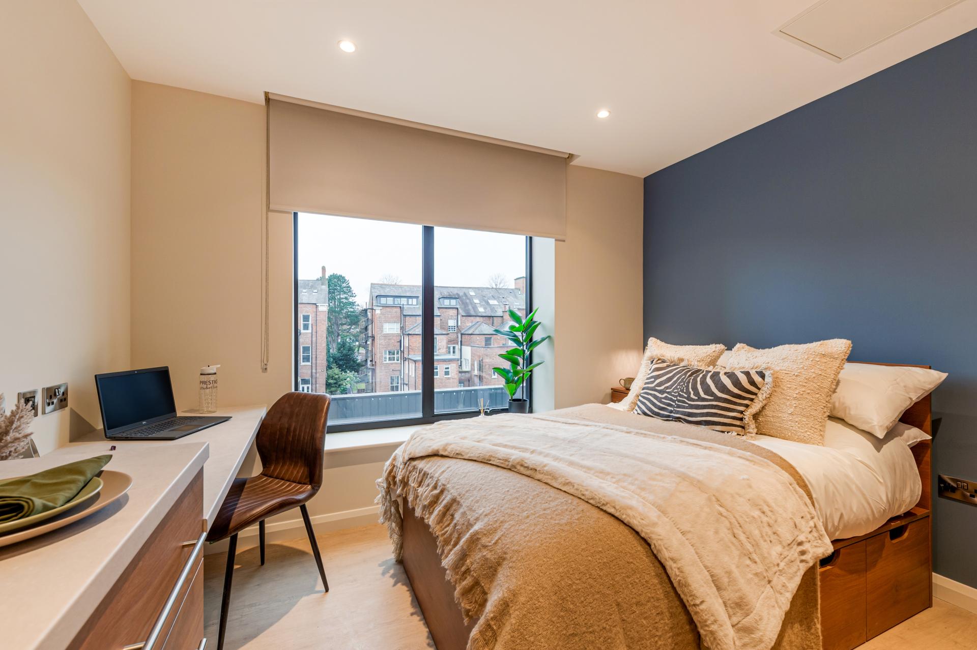  Classic Plus Studio  -  Ryan Hall  - Gallery -  4