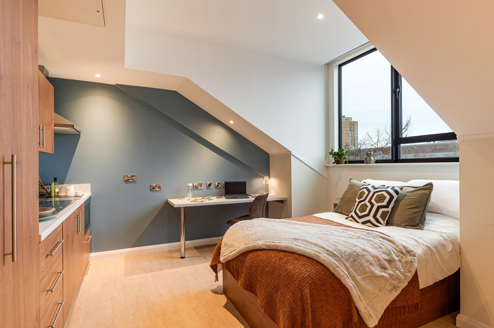  Premium Studio  -  Ryan Hall  - Gallery -  14