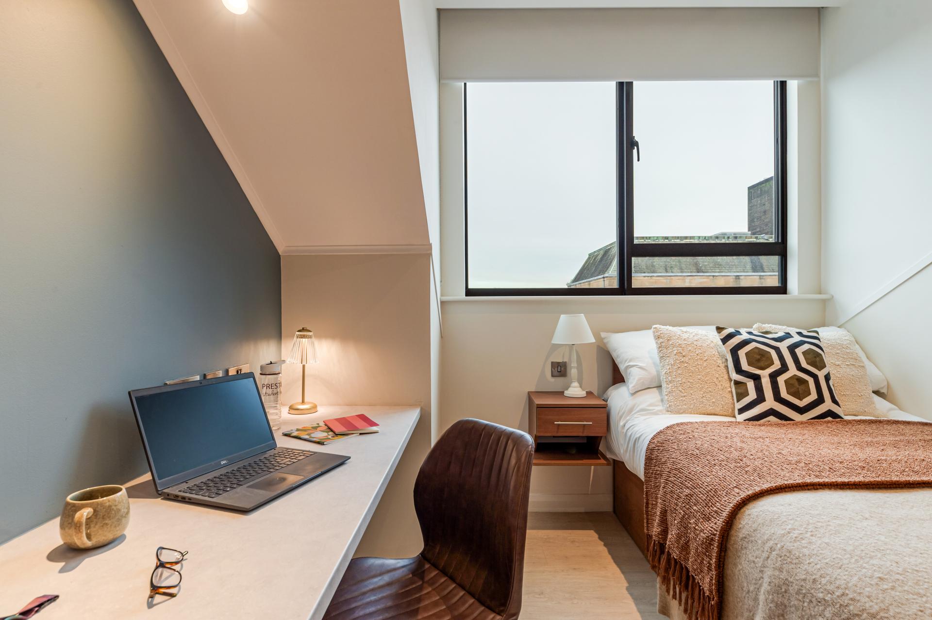  Premium Plus Studio  -  Ryan Hall  - Gallery -  8