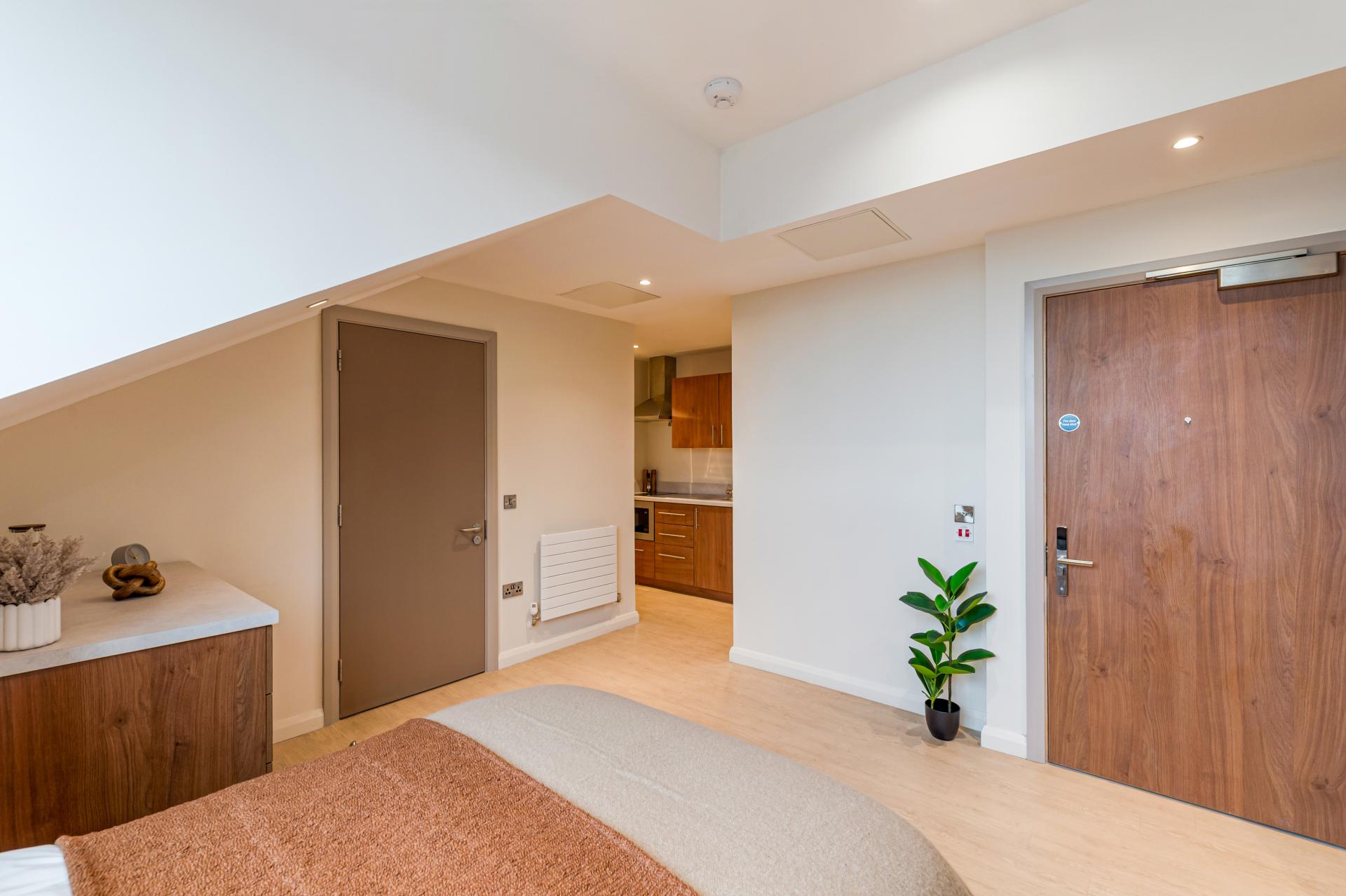  Premium Plus Studio  -  Ryan Hall  - Gallery -  15