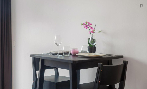 Delightful studio in the Sloten neighbourhood