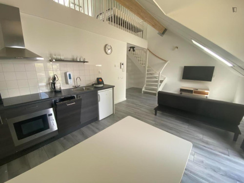 Very appealing studio duplex in Sloten