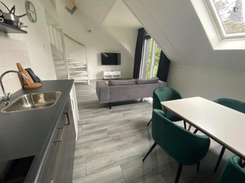 Very appealing studio duplex in Sloten