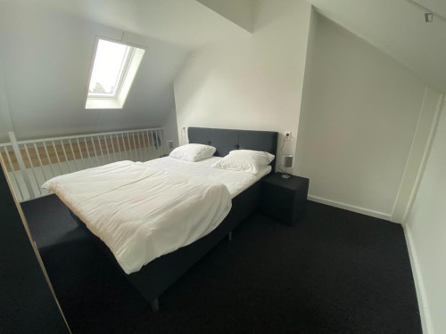 Very appealing studio duplex in Sloten