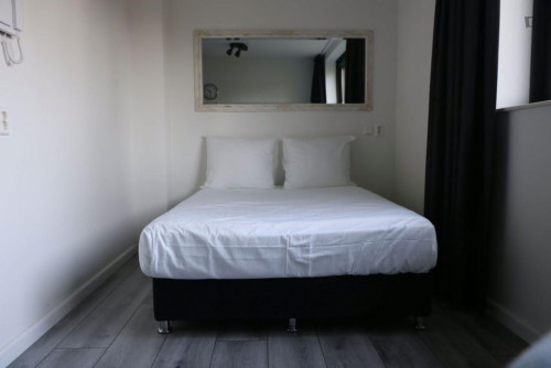 Charming and welcoming studio in Sloten