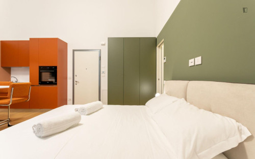 Lovely and cosy studio in the Castello Sforzesco area