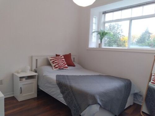 Bright and cozy room