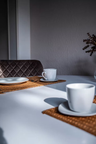 Perfect and spacious apartment in Erfurt