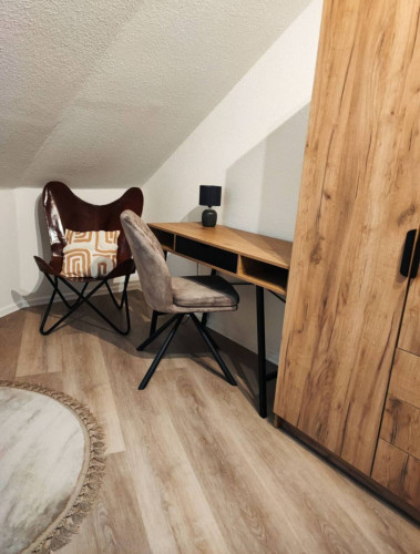 Perfect and spacious apartment in Erfurt