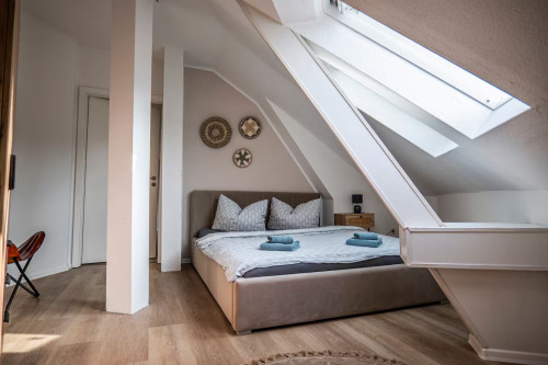 Perfect and spacious apartment in Erfurt - Gallery - 8