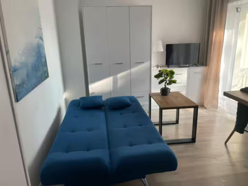 Snug studio in Olsza