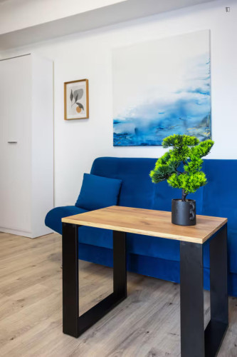 Snug studio in Olsza