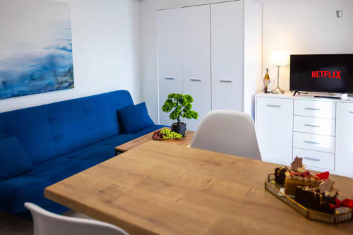 Snug studio in Olsza