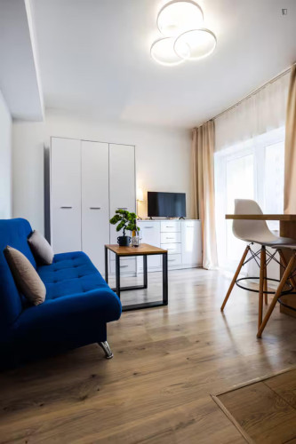 Snug studio in Olsza