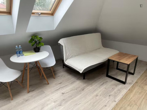 Very charming studio in Olsza