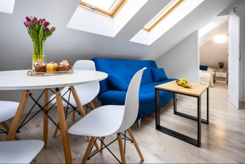 Very cool 1-bedroom apartment in Olsza