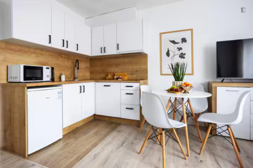 Very cool 1-bedroom apartment in Olsza