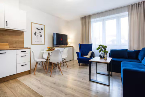 Very cool 1-bedroom apartment in Olsza - Gallery - 20