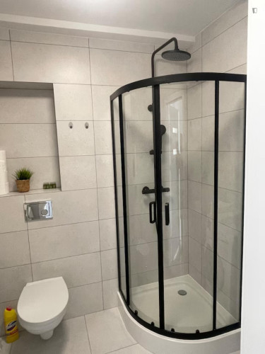 Sublime 1-bedroom apartment in Olsza - Gallery - 10