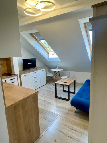 Sublime 1-bedroom apartment in Olsza