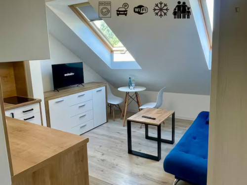 Sublime 1-bedroom apartment in Olsza