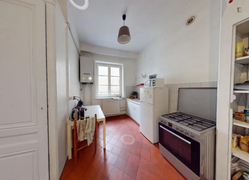 Pleasant double bedroom in Vieux Lyon - Quarantaine