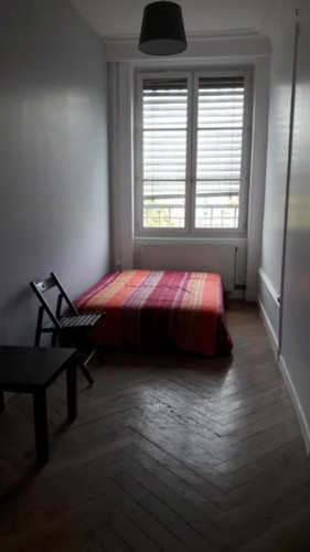 Pleasant double bedroom in Vieux Lyon - Quarantaine