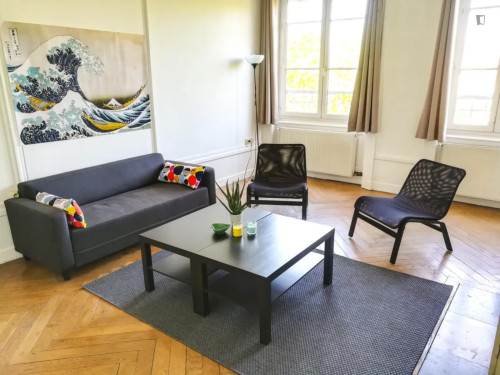 Pleasant double bedroom in Vieux Lyon - Quarantaine
