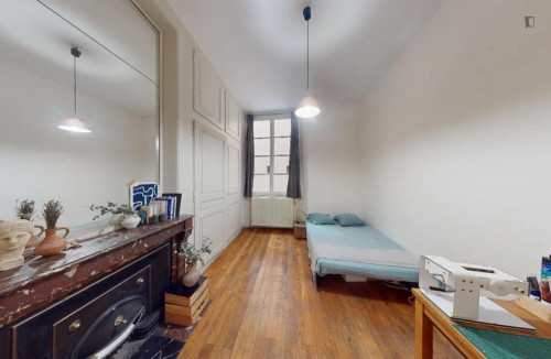 Spacious double bedroom in Vieux Lyon - Quarantaine