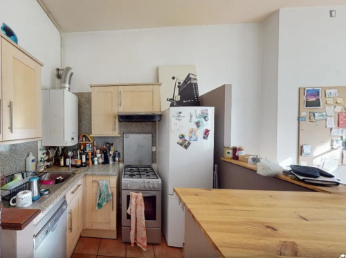 Snug double bedroom in Perrache - Charlemagne