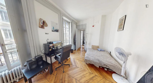 Large double bedroom in Cordeliers - Jacobins