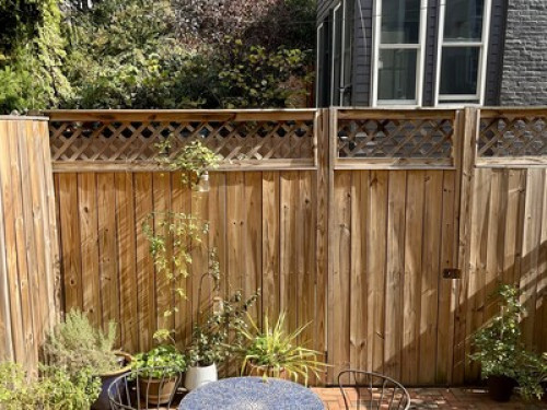 Comfy Stay in Georgetown, DC  - Gallery -  5