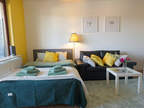 Bright & Fully Furnished Apartment in Hanau – Ready to Move In!