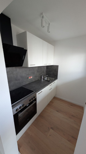 Fully furnished and newly renovated 1-room flat (Neckarsulm-Obereisesheim) - Gallery - 20