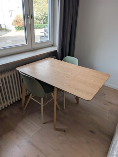 Fully furnished and newly renovated 1-room flat (Neckarsulm-Obereisesheim) - Gallery - 17