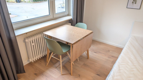 Fully furnished and newly renovated 1-room flat (Neckarsulm-Obereisesheim)