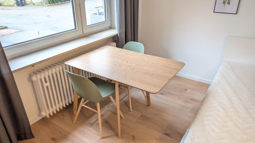 Fully furnished and newly renovated 1-room flat (Neckarsulm-Obereisesheim) - Gallery - 3