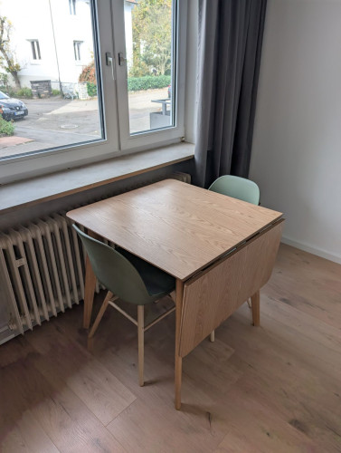 Fully furnished and newly renovated 1-room flat (Neckarsulm-Obereisesheim) - Gallery - 16