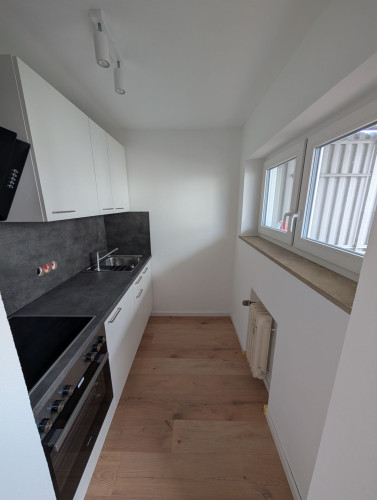Fully furnished and newly renovated 1-room flat (Neckarsulm-Obereisesheim) - Gallery - 19